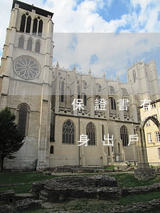 保證書有法律效力嗎(保證書有法律效力嗎凈身出戶)