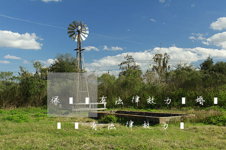 保證書有法律效力嗎(婚內(nèi)寫的保證書有法律效力嗎)