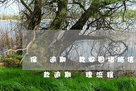 保證逾期貸款收回措施(信用擔(dān)保貸款逾期處理流程)