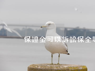 保證金可以訴訟保全嗎(訴訟保全保證金比例)