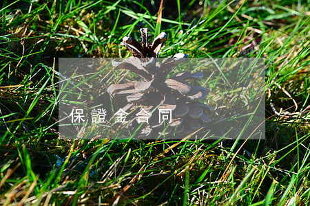 保證金合同