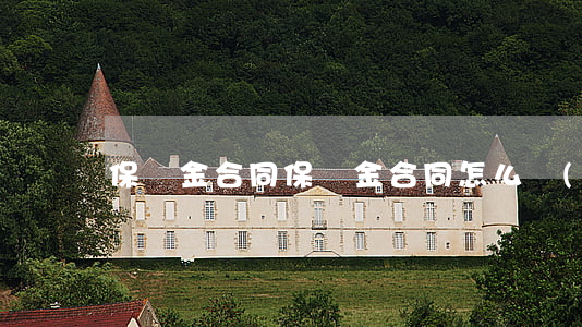 保證金合同(保證金合同怎么寫(xiě))
