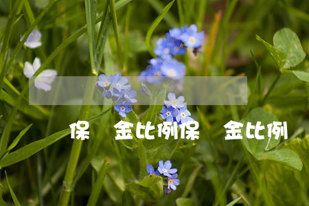 保證金比例(保證金比例計(jì)算公式)