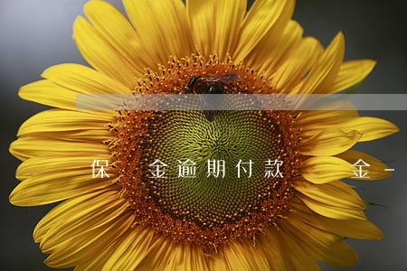保證金逾期付款違約金-保證金違約是幾倍賠