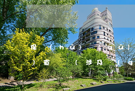 保護(hù)區(qū)法律法規(guī)宣傳欄(涉及國(guó)家級(jí)自然保護(hù)區(qū)保護(hù)的法律法規(guī)以及規(guī)范性文件)