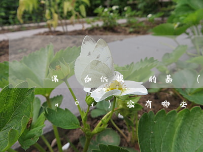 保護合伙投資的基礎(chǔ)性制度內(nèi)容有哪些