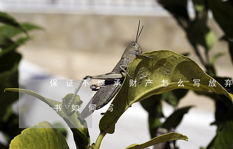 保证不继承财产怎么写(放弃财产继承权承诺书如何写)