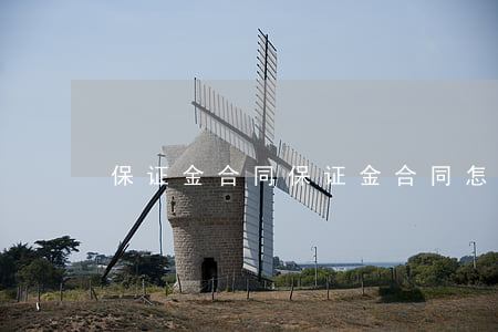 保证金合同(保证金合同怎么写)