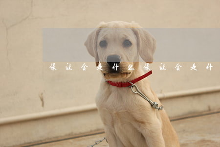 保证金是什么(保证金是什么科目)
