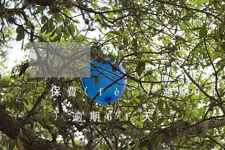 保費(fèi)逾期60天(保險(xiǎn)逾期61天)
