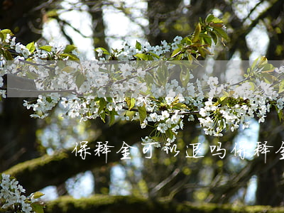 保释金可以退吗(保释金能退回吗?)