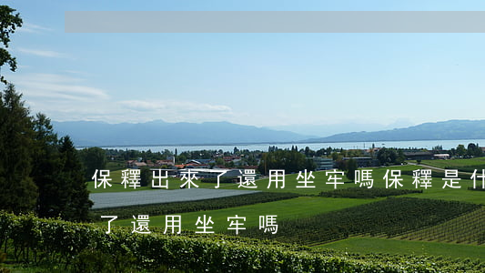 保釋出來了還用坐牢嗎(保釋是什么意思出來了還用坐牢嗎?)