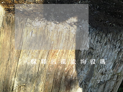 保釋后還能拘役嗎
