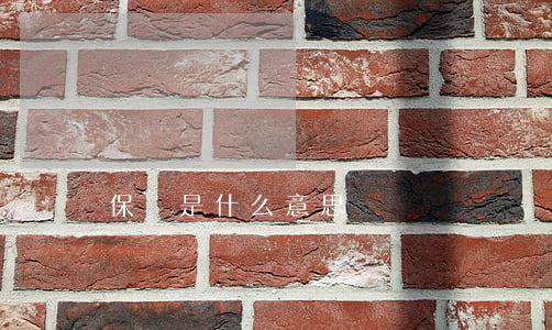 保釋是什么意思