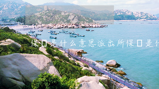 保釋是什么意思(派出所保釋是什么意思)