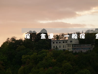 保釋金退嗎(一般保釋金退下來需要多久)