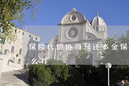 保险代偿协商只还本金 保险代偿后不还会怎么样