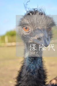 保险代理合同纠纷怎么解决