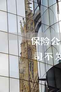 保险公司不给佣金可以去法院起诉吗(保险公司不发佣金怎么办)
