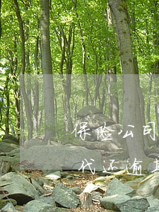 保险公司代还逾期多长时间撤销-保险公司代还逾期多长时间撤销申请
