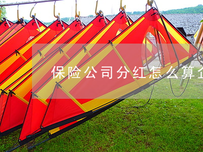 保险公司分红怎么算（企业股东分红怎么交税）