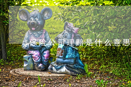 保险公司理赔是什么意思