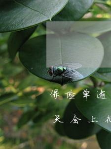 保险单逾期还能贷款吗(保险单贷款逾期了几天会上征信吗)