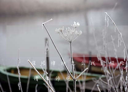 保险律师怎么找到(保险公司有律师,我还需要请律师吗)