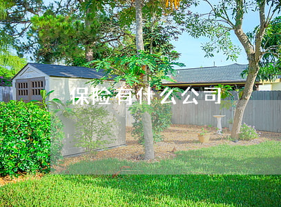 保险有什么公司