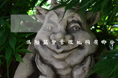 保险监督管理机构有哪些权利
