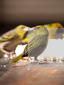 保险继续教育(保险继续教育网站)