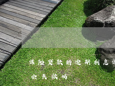 保险贷款的逾期利息(保险里贷款逾期了保险会失效吗)