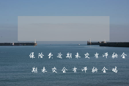 保险费逾期未交有滞纳金意味什么-保险逾期未交会有滞纳金吗