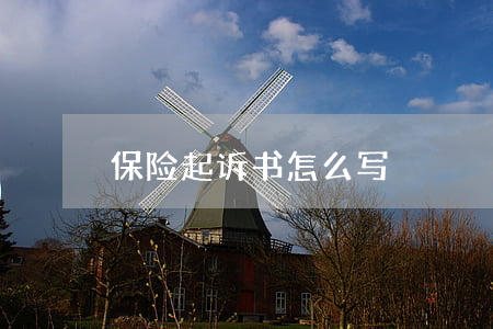保险起诉书怎么写