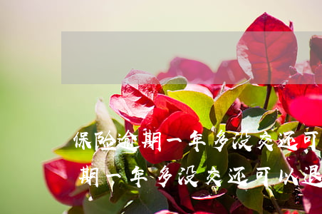 保险逾期一年多没交还可以退保吗-保险逾期一年多没交还可以退保吗怎么办