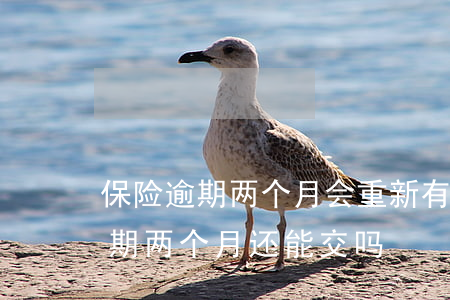 保险逾期两个月会重新有等待期吗-保险逾期两个月还能交吗
