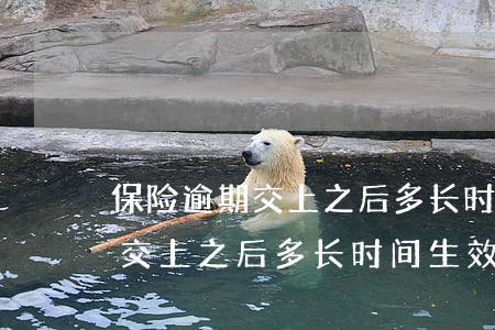 保险逾期交上之后多长时间生效-保险逾期交上之后多长时间生效啊