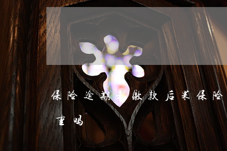 保险逾期未缴款后果(保险逾期未缴款后果严重吗)