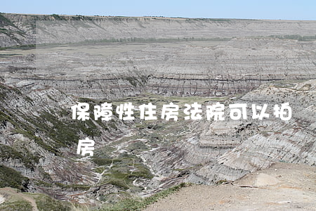 保障性住房法院可以拍賣嗎(司法拍賣唯一住房補償標準)