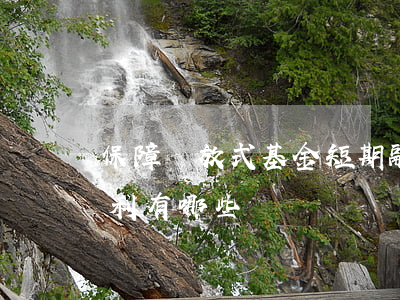 保障開放式基金短期融資的權(quán)利有哪些