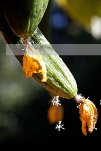 保險(xiǎn)代理都應(yīng)該承擔(dān)哪些責(zé)任