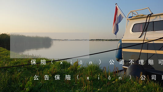 保險(xiǎn)公司不理賠可以起訴嗎(怎么告保險(xiǎn)公司理賠不合理)
