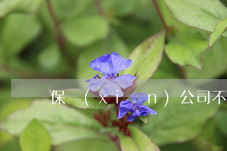 保險(xiǎn)公司不理賠如何起訴