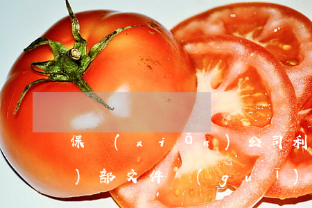 保險(xiǎn)公司利用公司內(nèi)部文件規(guī)定免責(zé)條款無(wú)效