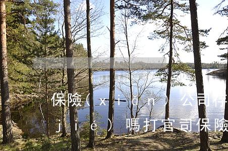 保險(xiǎn)公司存款法院可以凍結(jié)嗎(打官司保險(xiǎn)公司擔(dān)保凍結(jié)銀行賬戶)