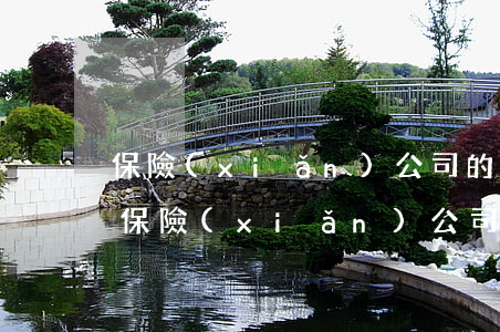 保險(xiǎn)公司的貸款逾期(貸款逾期,保險(xiǎn)公司賠付給銀行后怎么辦)