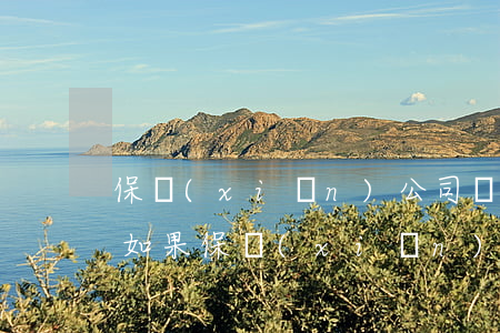 保險(xiǎn)公司還沒賠錢怎么問律師(如果保險(xiǎn)公司無法賠償怎么辦)
