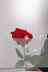 保險(xiǎn)利益是指什么(保險(xiǎn)利益是指什么對(duì)保險(xiǎn)標(biāo)的)