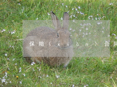保險(xiǎn)合同的有效訂立