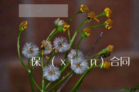 保險(xiǎn)合同糾紛屬于什么糾紛